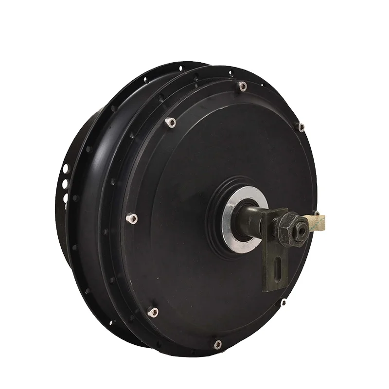 4000W 205 55H V3 BLDC External Rotor Hub Motor Dual Axis IP54 Waterproof Disc Brake 200mm Frame New