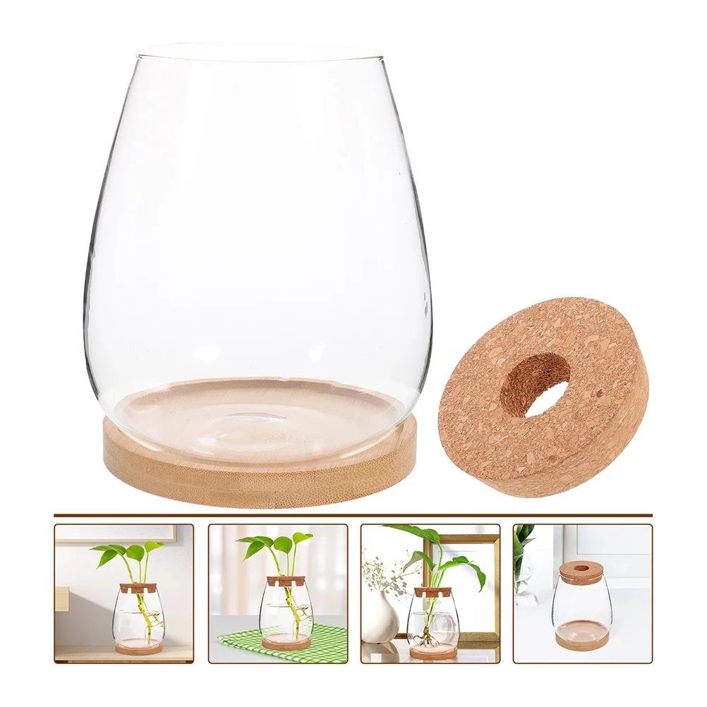 

1 Set Water Propagation Eco Bottle Glass Terrarium Jar Diy Micro Landscape Container For Plants Home Decor Transparent Vase