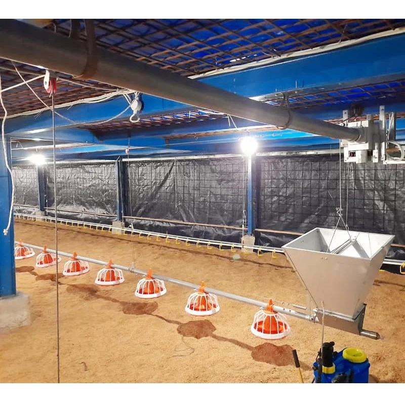 

Broiler Feeding System Commercial Poultry Feeding Automatic Chicken Feed Line 14 Grid Tray