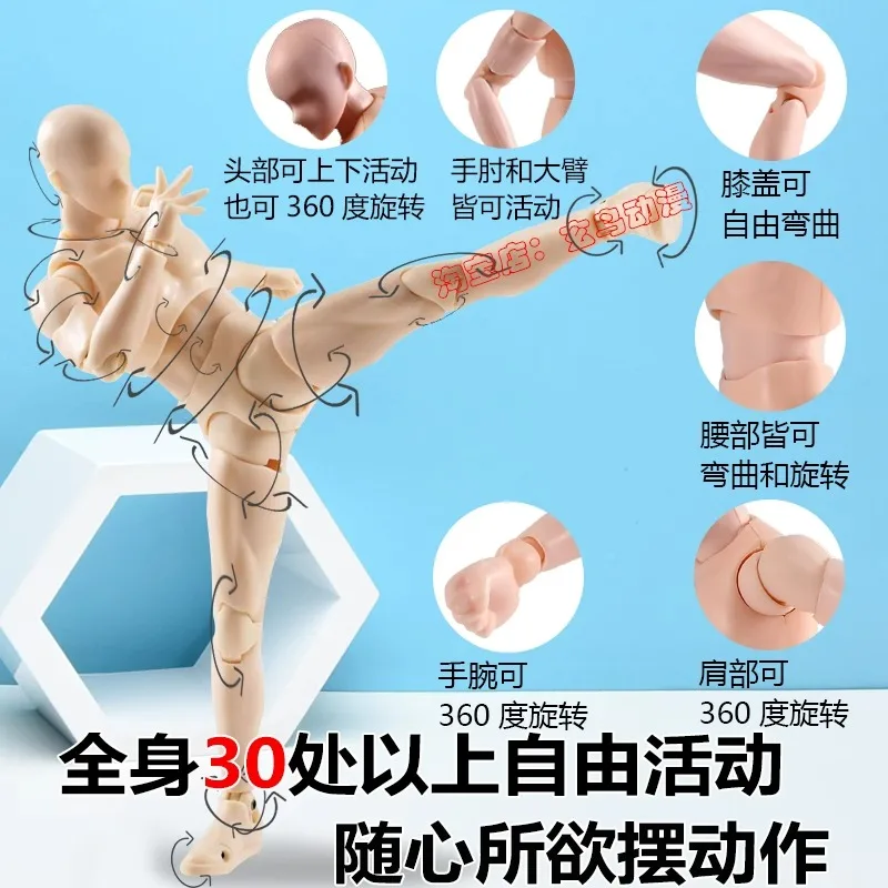 Sommeranimationssaison Ganzkörpergelenke beweglicher Körper männliche und weibliche Animation Schaufensterpuppe Figur Kunst Malerei Puppe, das beste Geschenk