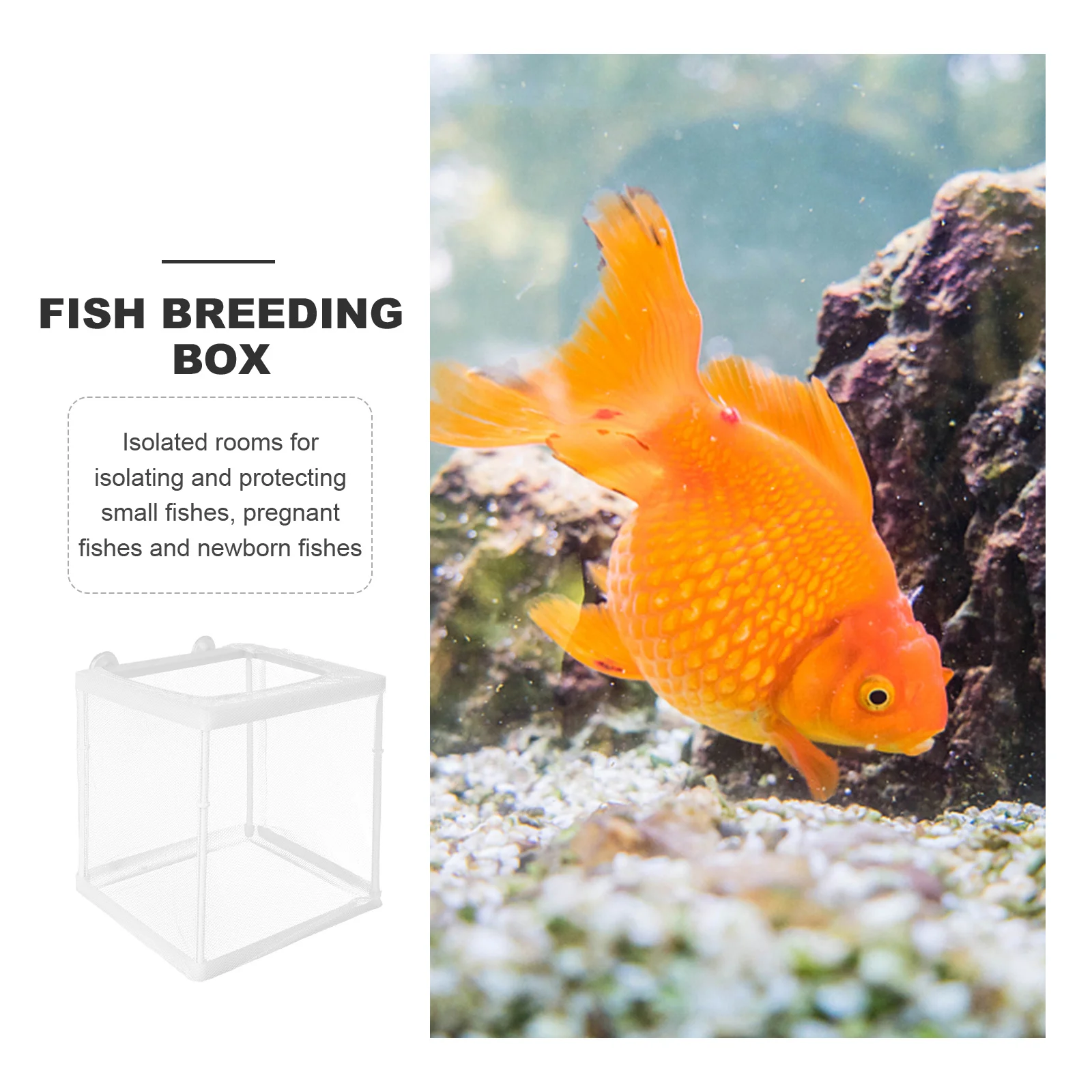 

1pc Mesh Fish Breeding Box White Durable Hatching Incubator For Small Pregnant Fishes Aquarium Protection Tank