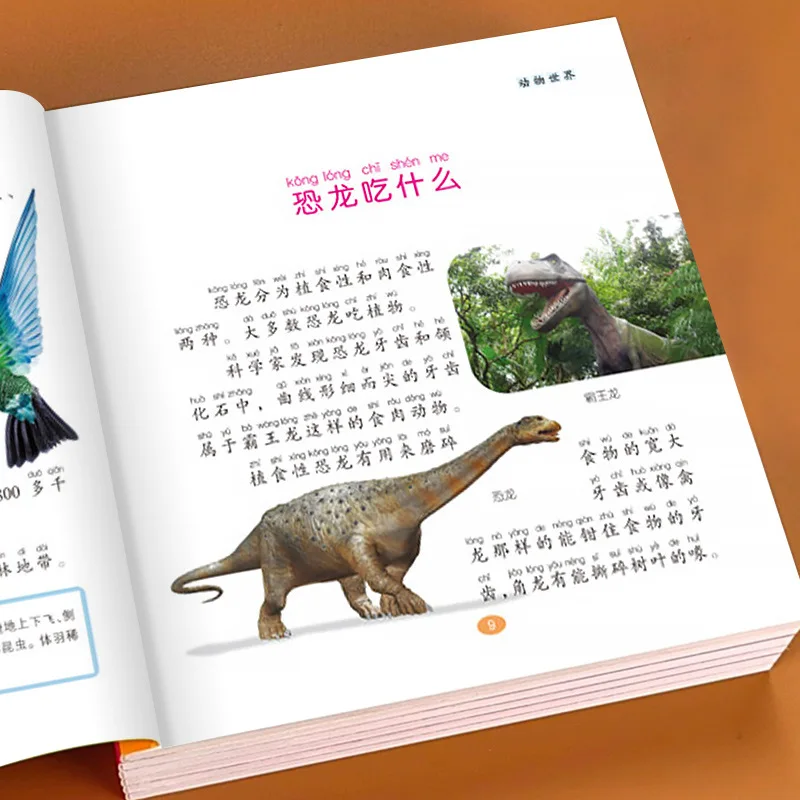 Why Are There Various Extracurricular Books, Early Education, Intelligence and Science Popularization in Children's Eyes