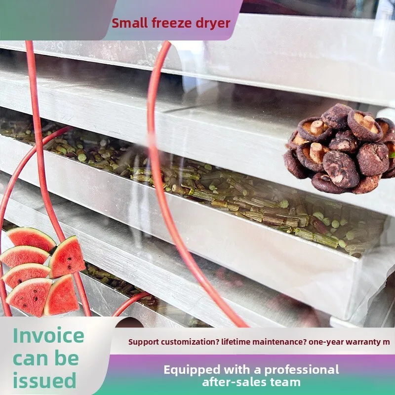 Machine de lyophilisation sous vide pour fruits de mer, supplément de beauté, équipement pour soupe Tremella, palourde de taille de porc