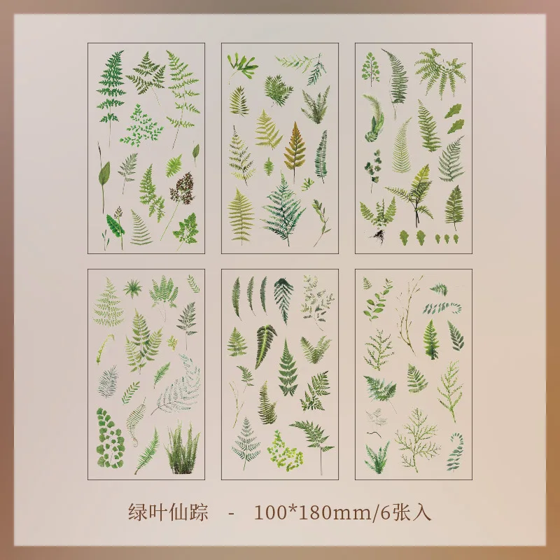 6pcs/pack Transparent PET Stickers Scrapbooking Materials DIY Junk Journal Collage Floral Leaves Plants Decor Stickers