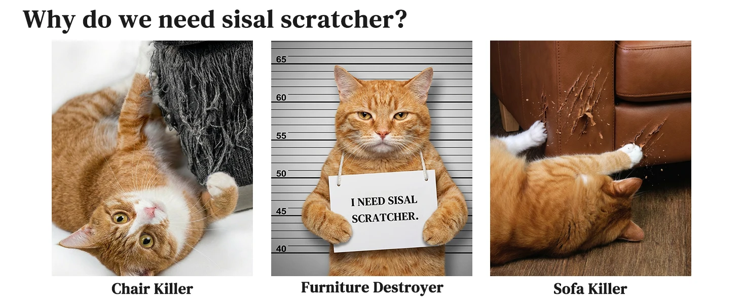 Cat Scratcher with Ball Track Toy, Sisal Scratch Pad for Indoor Use