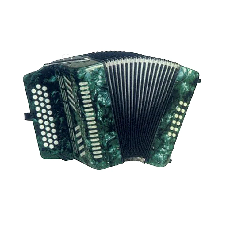 

12 BASS 31 BUTTON Diatonic Accordion High Quality Wood Musical Instrument for Beginner Musician