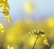 

2S3P battery pack fishing LED light Bluetooth speaker 7.4V lithium-ion battery 10.5mAh emergency DIY 18650 lithium