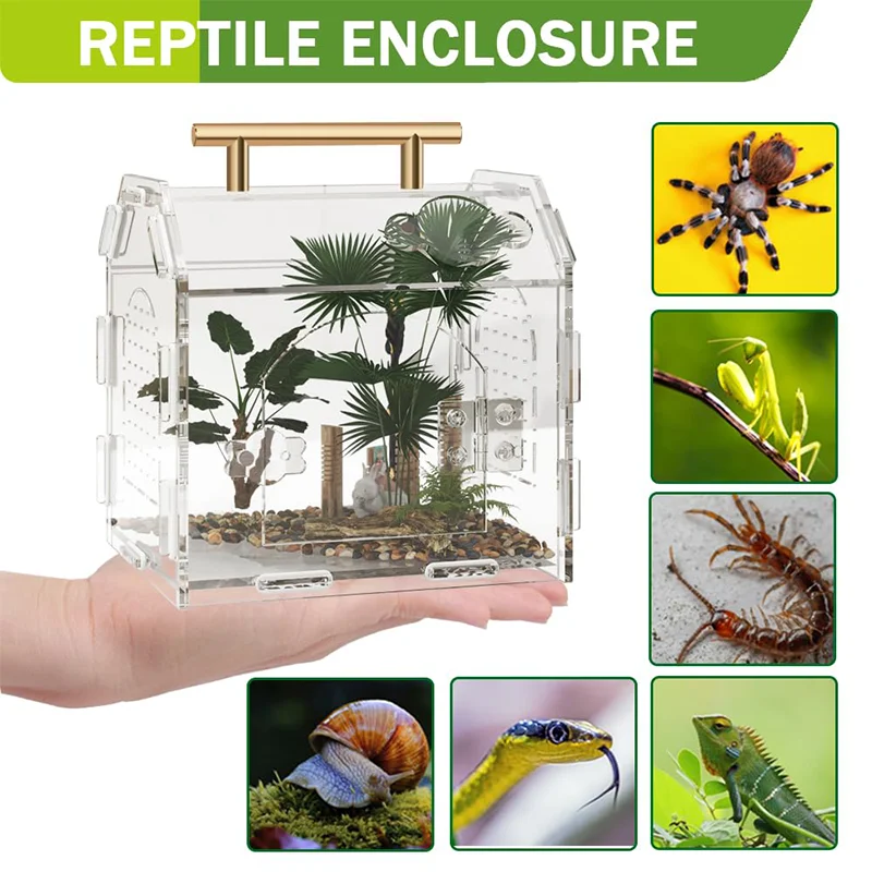 

Reptile Breeding Box Acrylic Feeding Boxes Transparent Reptiles Terrarium Spider Scorpion Tarantula Horned Frog Habitat Cage