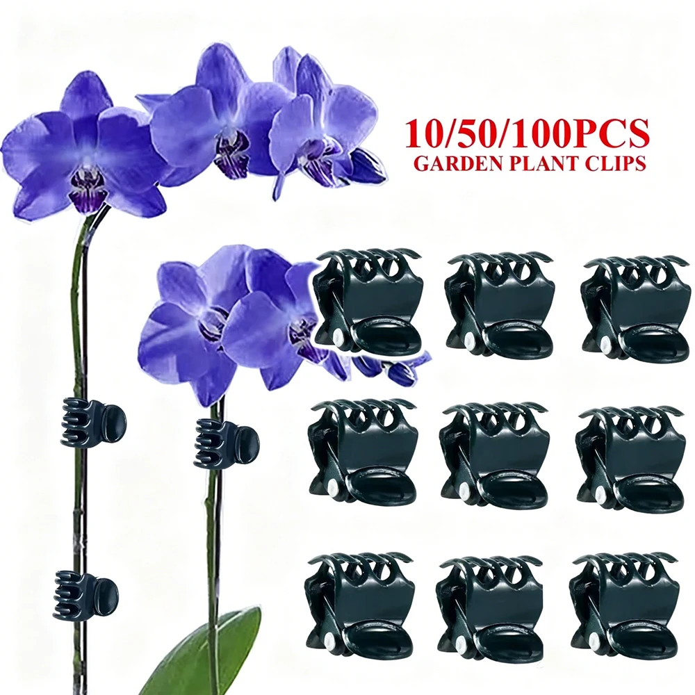 10/50/100Pcs Vine Clothespins Plant Climbing Fix Clip Butterfly Orchid Flower Support Clamp Garden Fruit Vegetable Stem Fastener