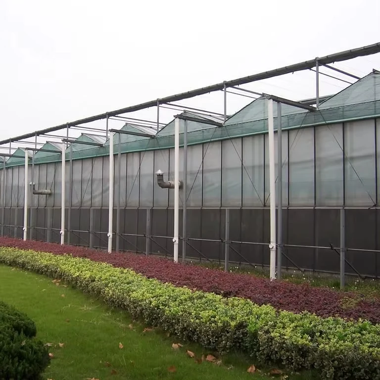 

Customized greenhouseCommercial Greenhouse with Hydroponic System Polycarbonate Cover Steel Frame for Plant Agriculture Use