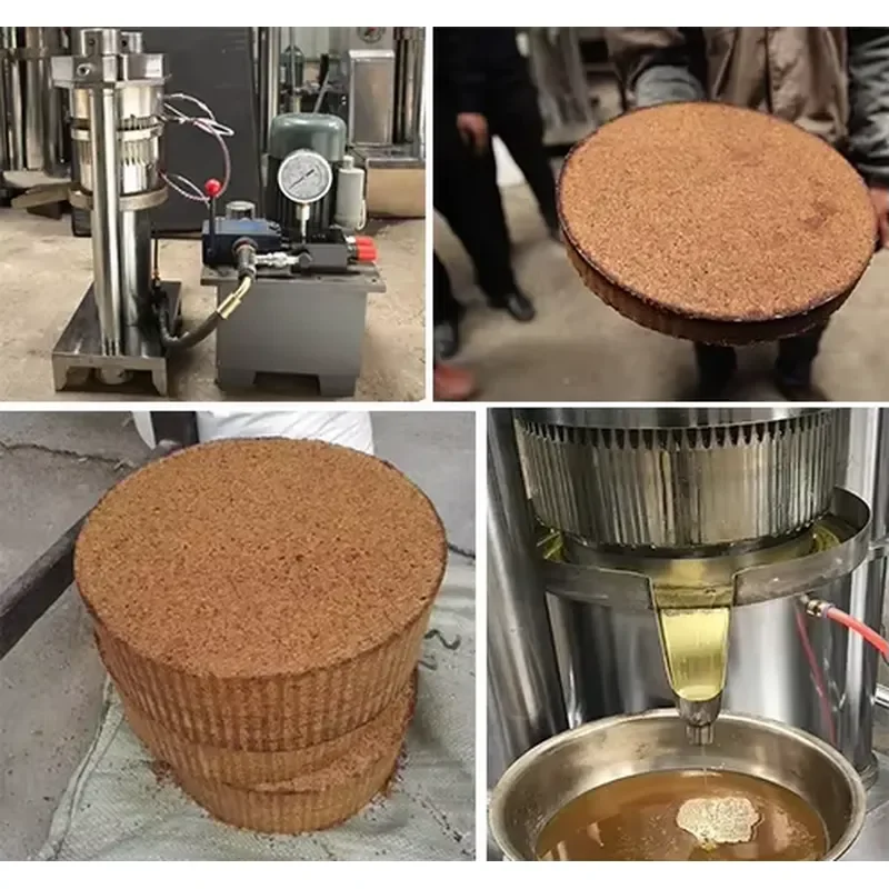 Hydraulic Oil Press Prickly Pear Seed Walnut Almond Macadamia Nut Cocoa Avocado Coconut Olive Hydraulic Cold Oil Press