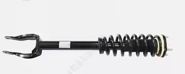 

A pair of front shock absorber assemblies, Mercedes Benz，WDCED5GBXHA054601