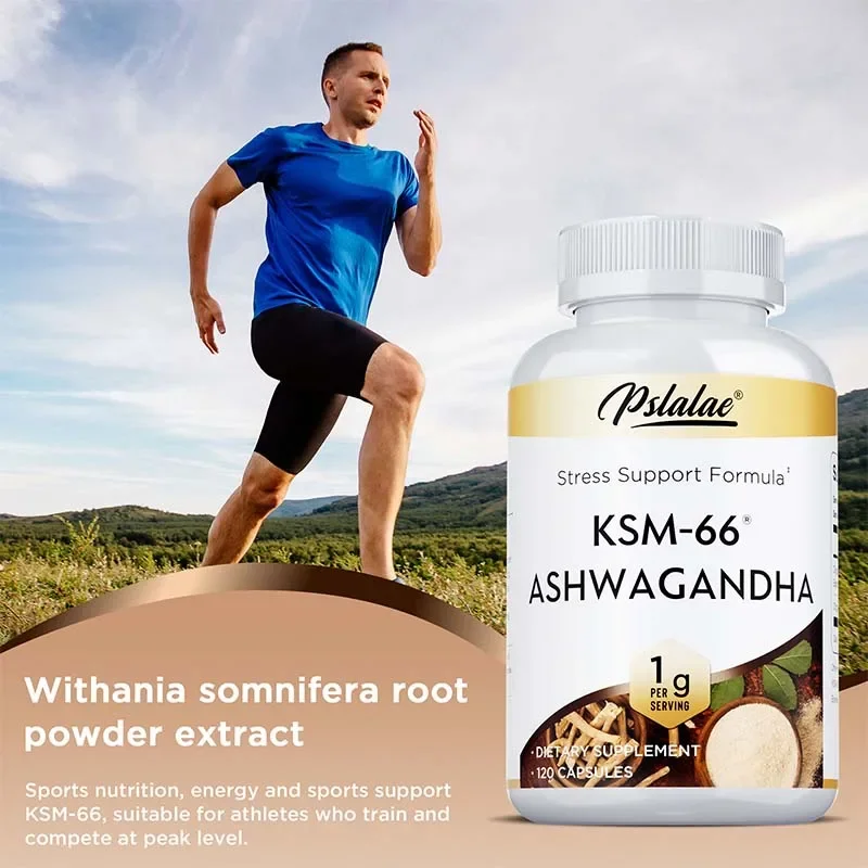 

KSM-66 Ashwagandha Capsule - Promotes Brain Relaxation, Relieves Stress, Improves Mood, and Enhances Athletic Performance