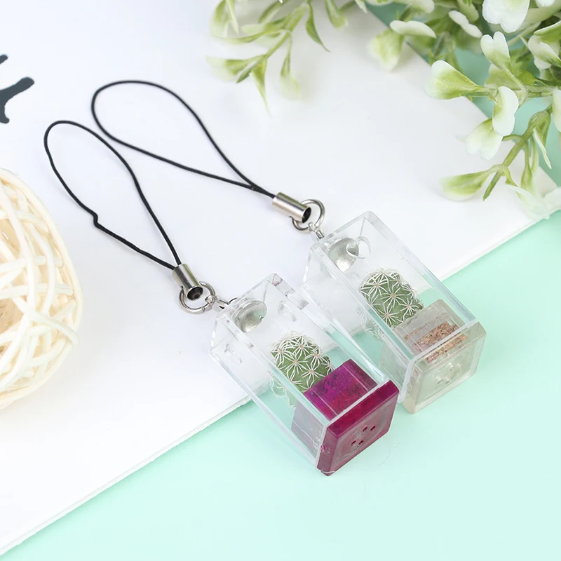 1PC Cactus Miniature Succulent Cacti Terrarium Wearable Necklace Live Plant