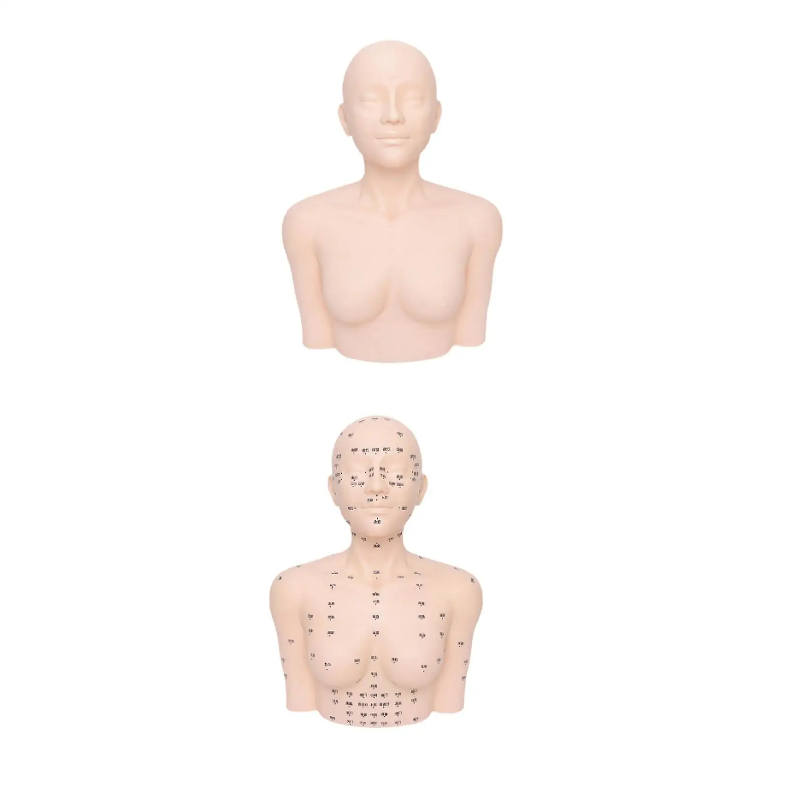 تدليك عارضة أزياء رئيس التجميل نموذج الممارسة للتدريب على تدليك التمريض