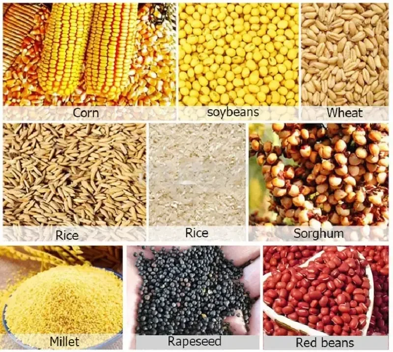 Good Price Farm Use Seed Grain Maize Corn Wheat Cleaner Grader Electric Winnower Seed Cleaner for Sale