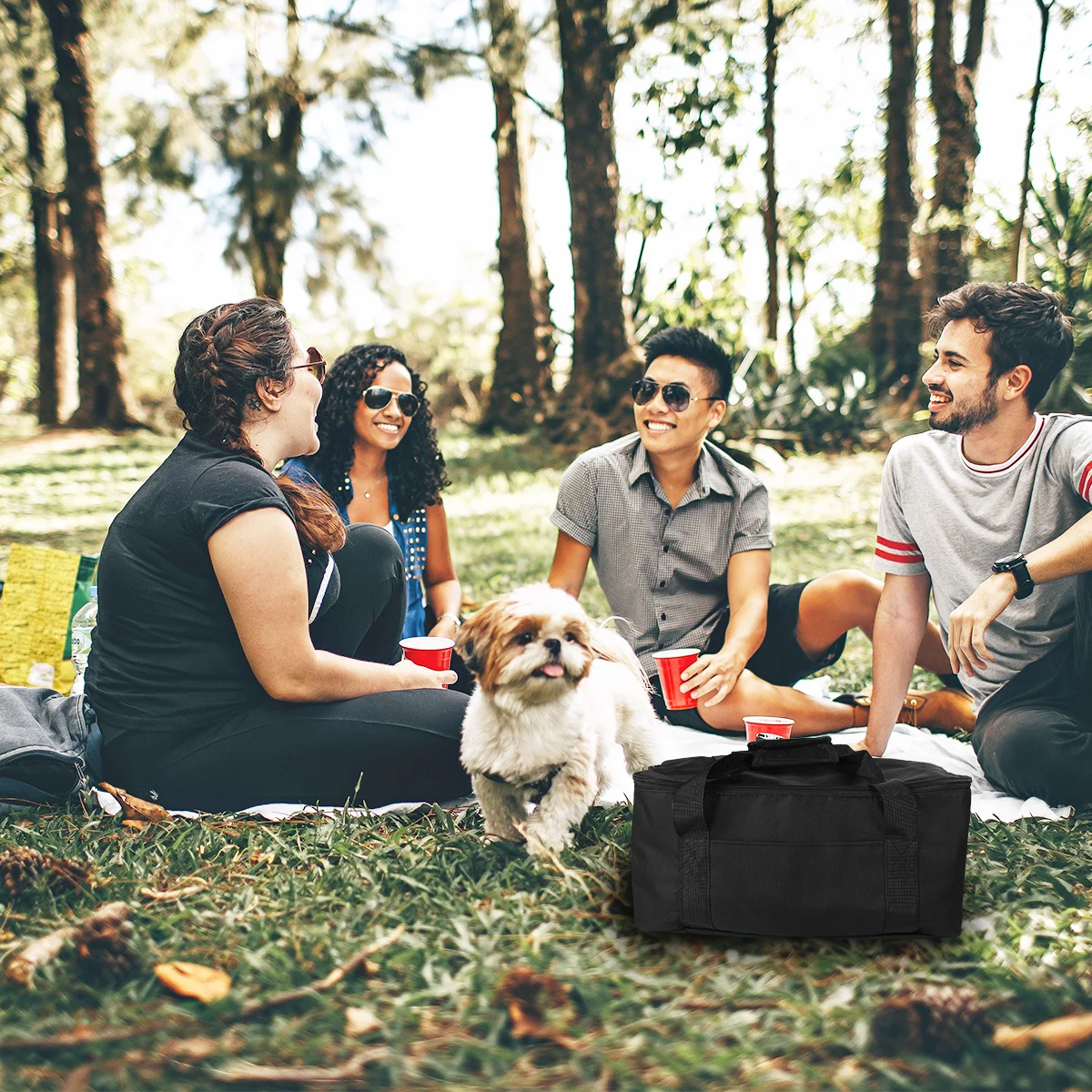 

12L Insulated Grocery Bag Oxford Cloth Thermal Cooler Food Delivery Pizza Takeaway Portable Lunch Bag Picnic Travel Kitchen Tool