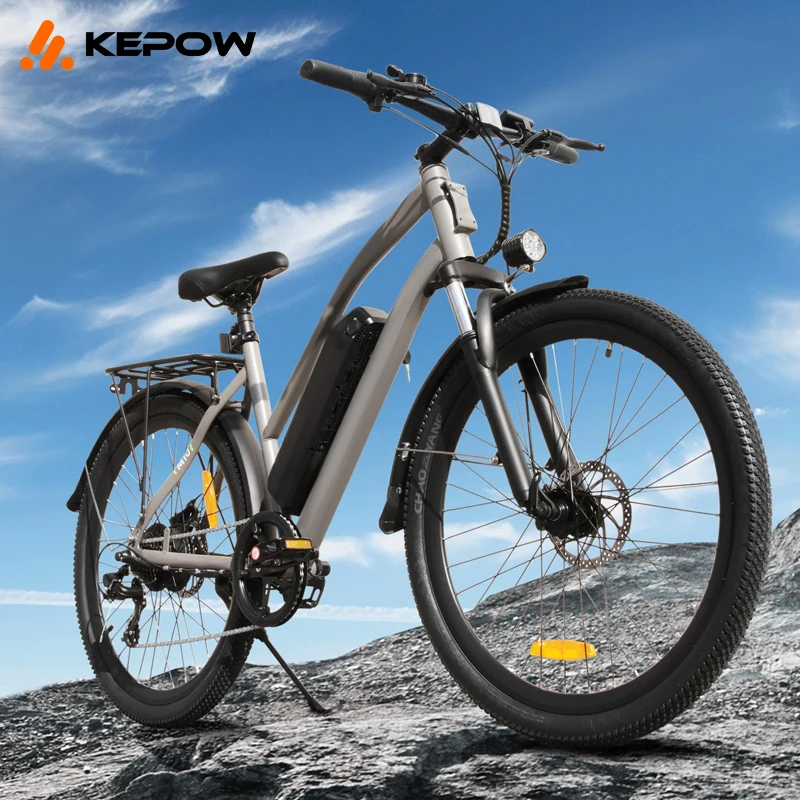دراجة كهربائية مخصصة بإطار من الألومنيوم 36 فولت 500 وات E Bike Fatbike للكبار دراجة جبلية كهربائية دراجة كهربائية