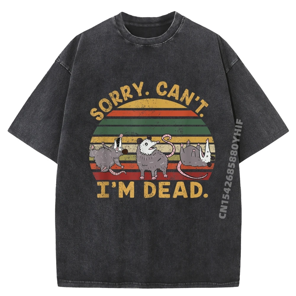 

Funny Opossum Possum Trash Eater Sorry Can It I Im A Dead Plus Size Men Clothing Soft Washed Tshirt For Men Oversized Printed On