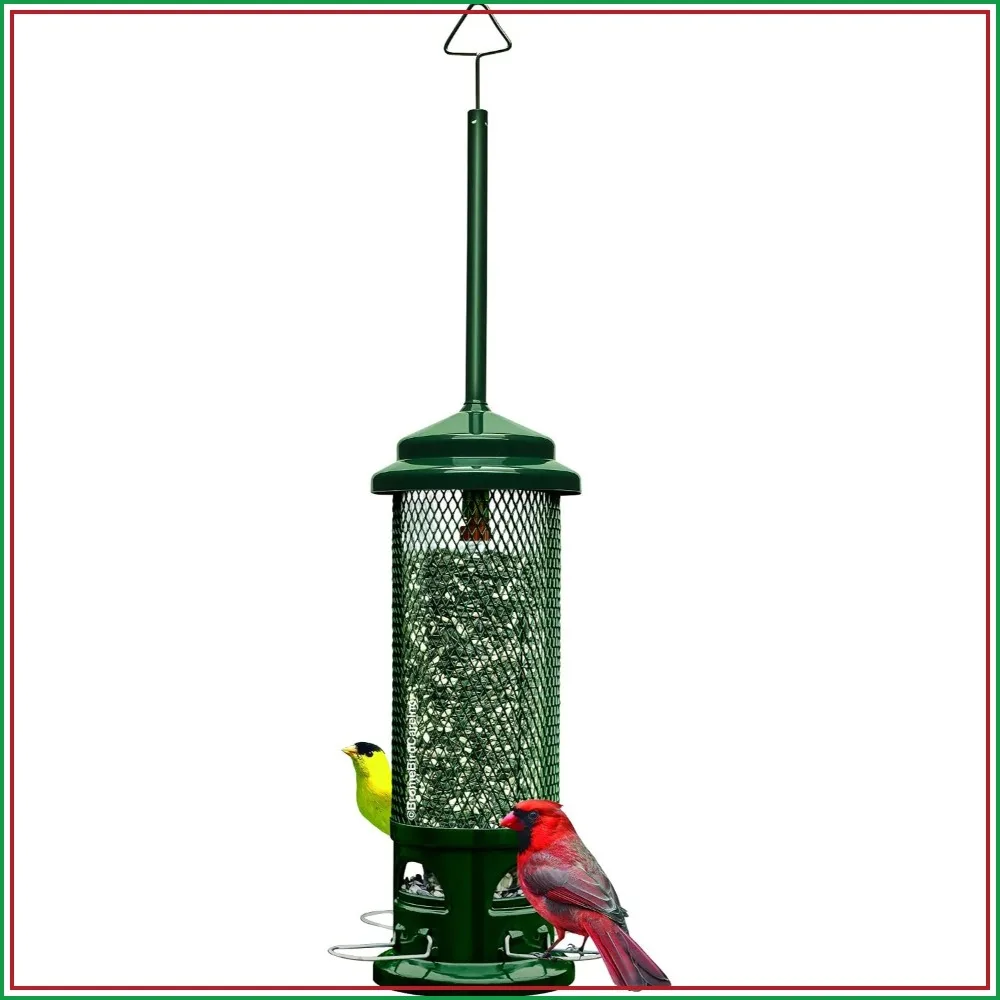Squirrel-Proof Bird Feeder for Wild Birds – 4 Metal Removable Perches, 2.6 lb Capacity, Chew-Proof Design, Easy to Clean