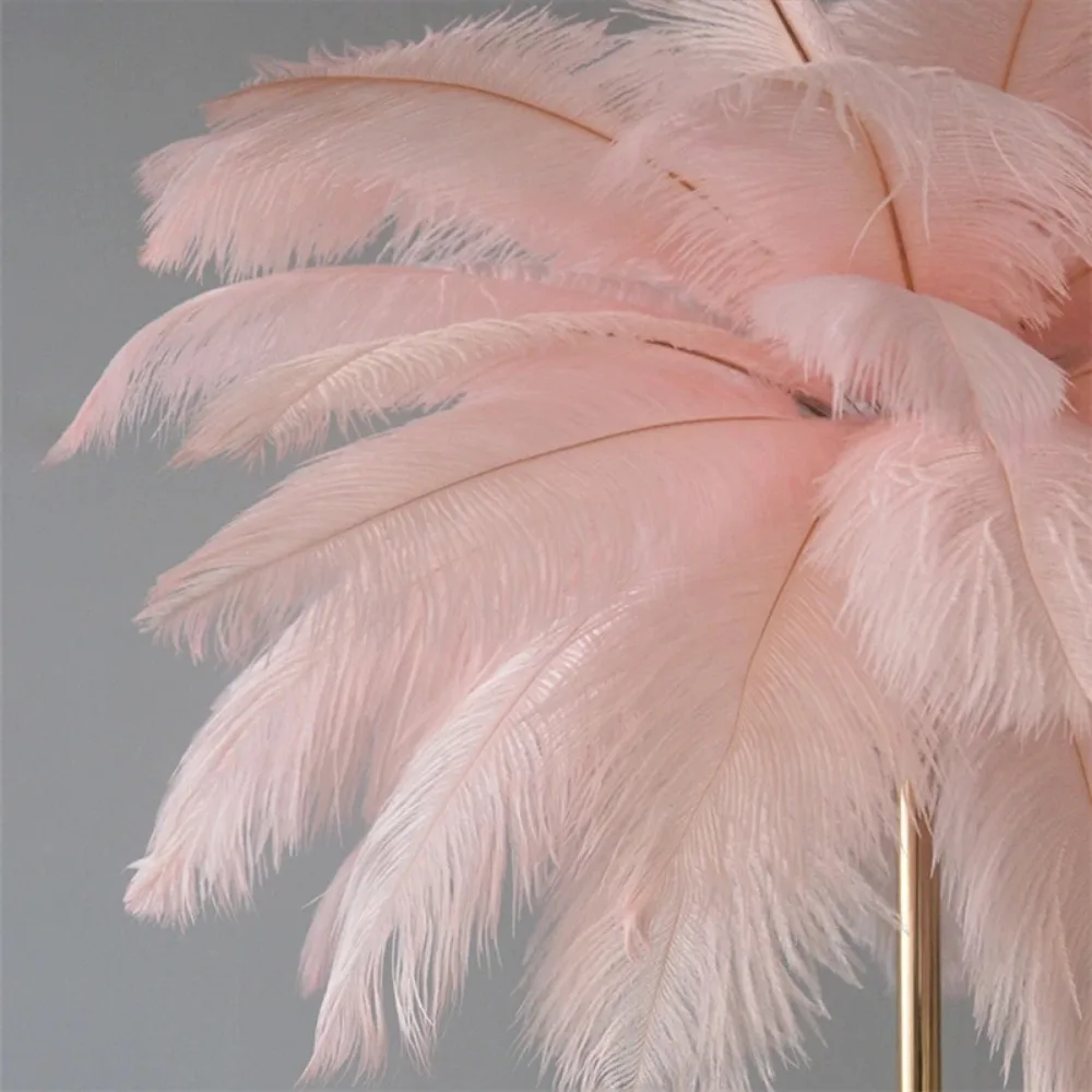 Imagem -06 - Ostrich Feather Floor Lamp Decoração Nórdica Living Room Decor Light Lâmpadas Altas para Quarto Lâmpada em pé Iluminação Led