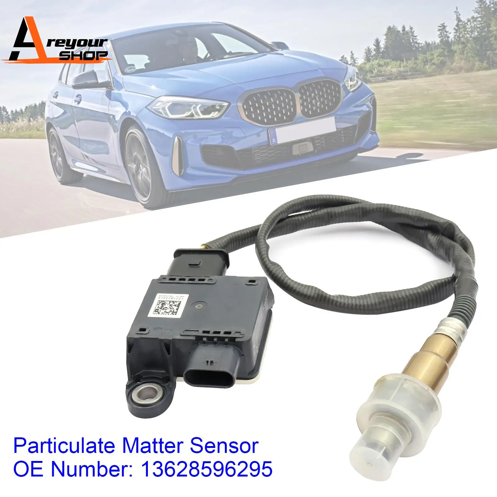 Particulate Matter …