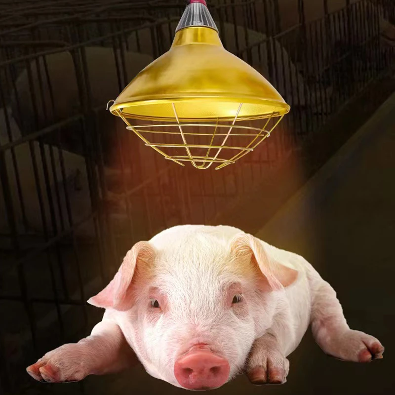 

Farm Insulation Lampshade Pig Heating Lamp Shade Livestock Poultry Breeding Thermal Insulation Equip Poultry Breeding Chicken