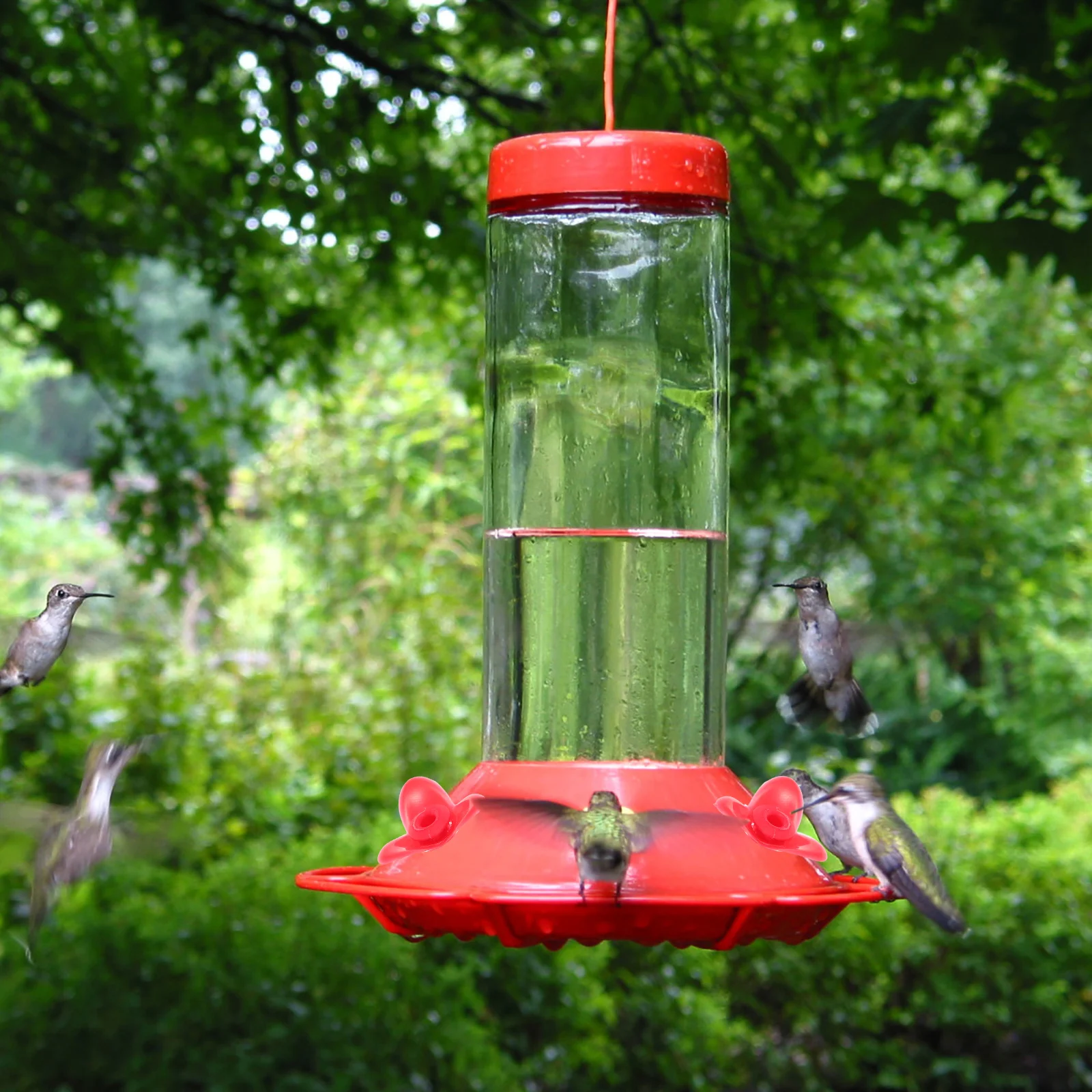 12 個の鳥の餌箱ハチドリ給餌ツールガラス交換花黄色ペット