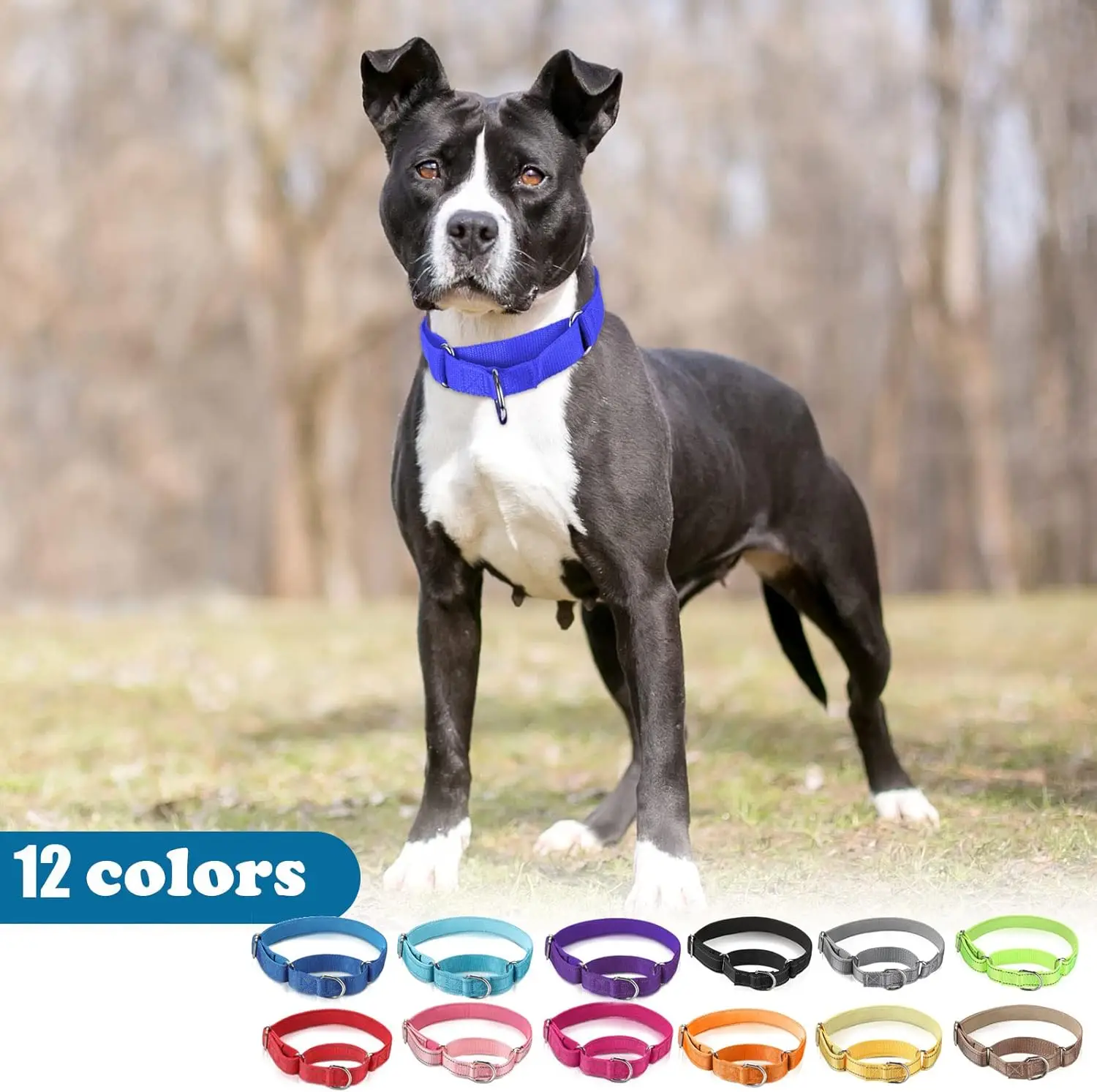 Martingale Dog Collar Heavy-Duty Training Collar Durable Nylon Service Dog Collar for Small Large Dogs Control Safe Anti-Escape