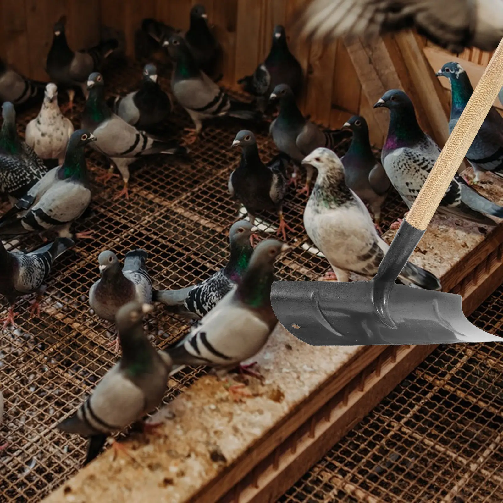 Poultry Cage Scraper for Poultry Farmers to Easily Remove Manure, 1 Pc Grey Metal Manure Rake for Coop Cleaning
