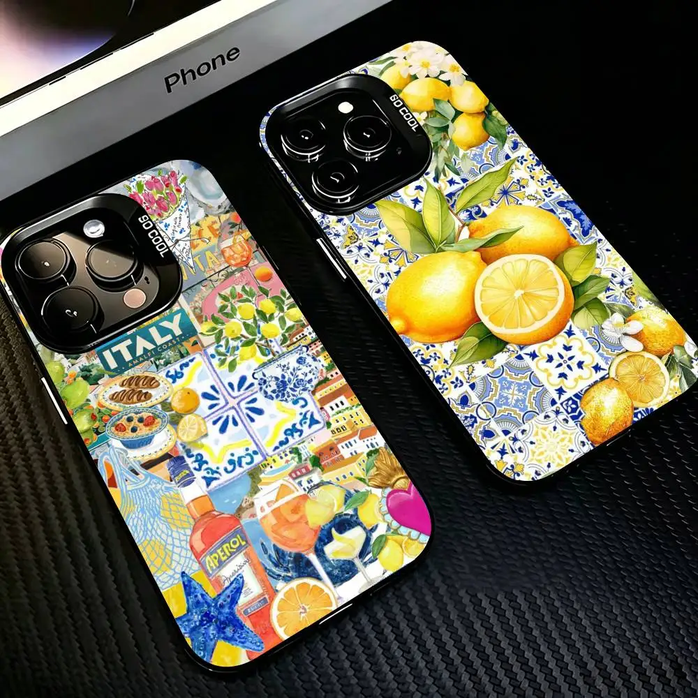 

European Maiolica Holiday Silver Cover For Phone Case For iPhone 17,16,15,14,13,12,11 Plus,Pro Max,XS