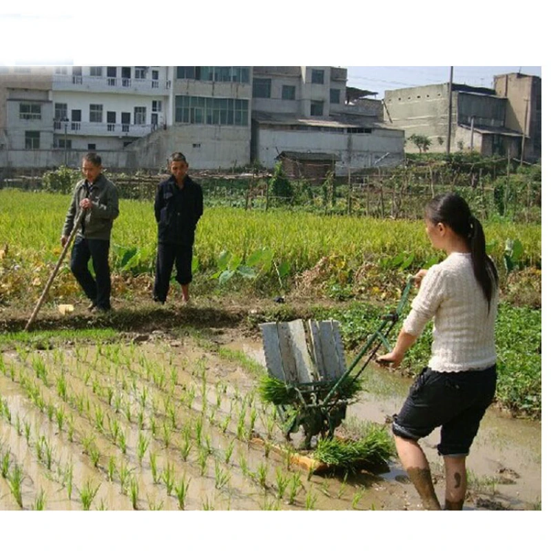 manual rice paddy seed transplanter planting machine