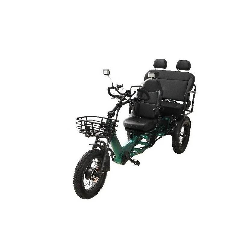 New Model 1750W Dual Motor  3 Wheel Electric Cargo Trike, 48V 60Ah Battery, Tough Off Road E Tricycle, 200KM Long Endurance