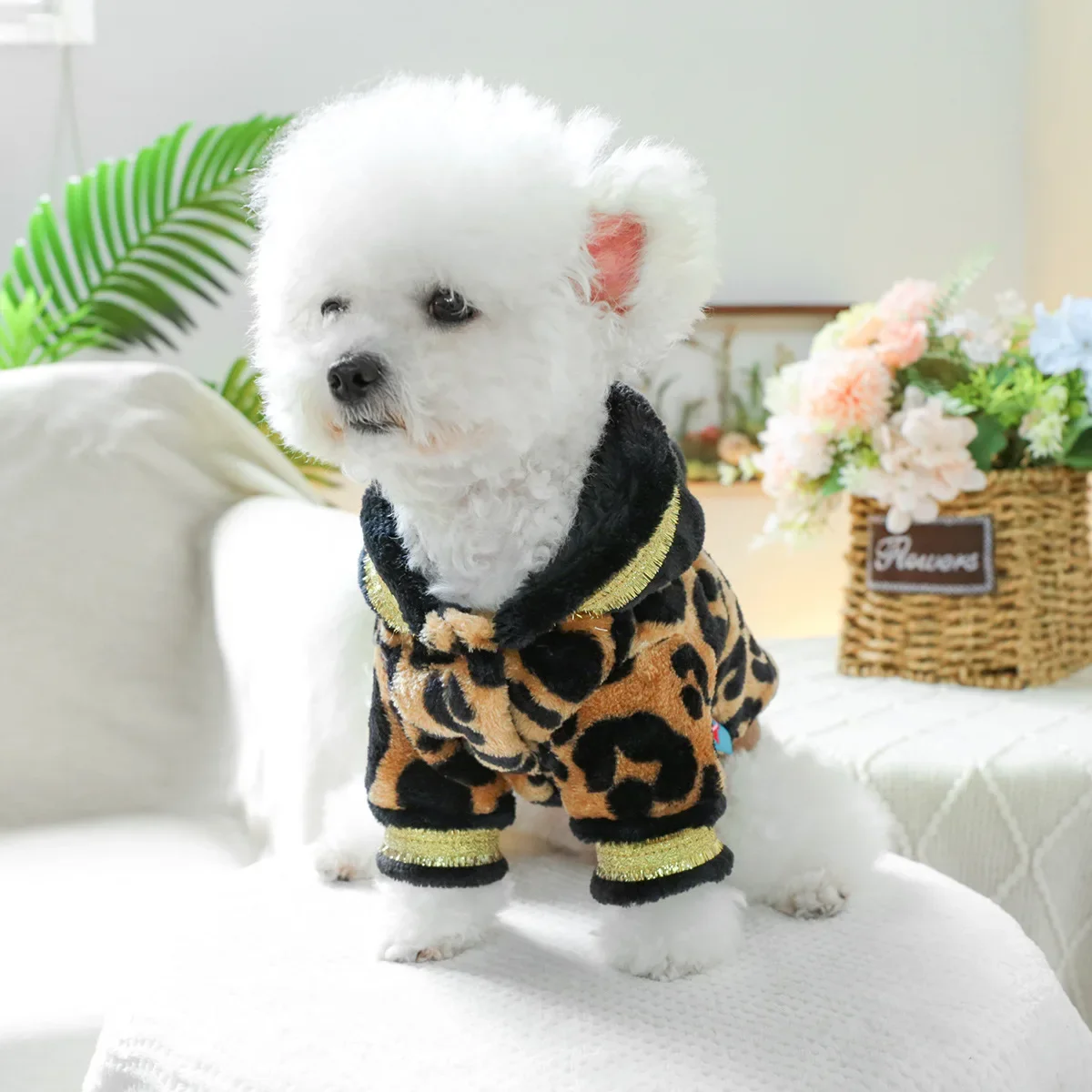 Pet Autumn and Winter Hooded Ball Hoodie Cat Clothing Leopard Print Flannel Hoodie Dog Outdoor Warm Coat Designer Dog Clothes