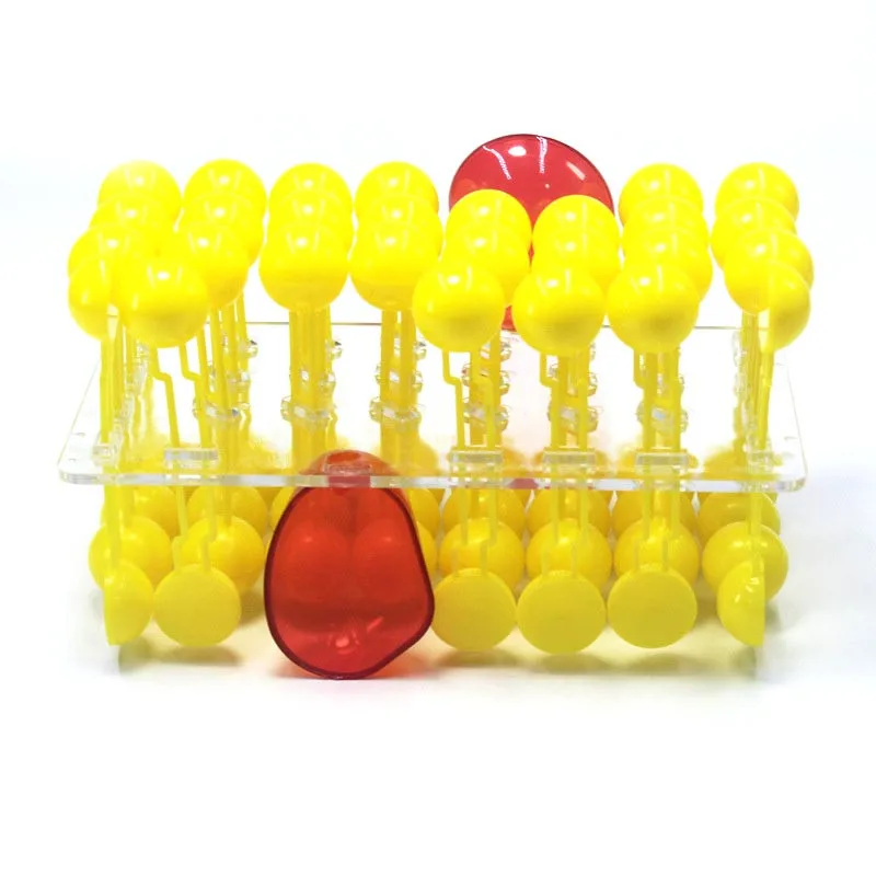 Anatomy Model Cell Membrane Structure Flow Mosaic Component Biological Teaching Demonstration Equipment Science