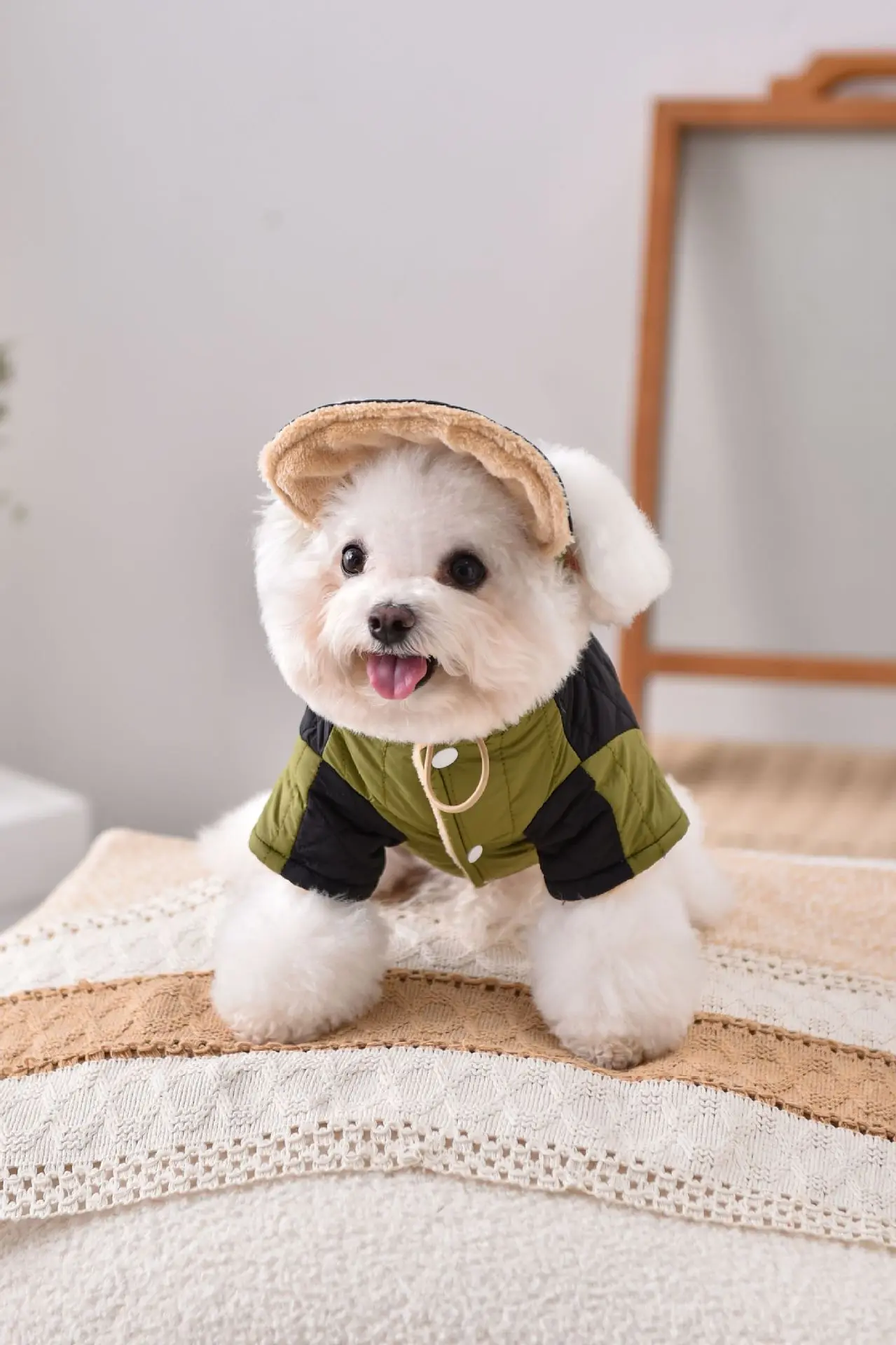 Winddichtes Mantel- und Mützen-Set für französische Bulldogge, Hundekleidung, Sweatshirt, Haustier-Outdoor-Outfit, Jacke, XS, 4XL, Katze, Chihuahua, Möpse – Detail 8