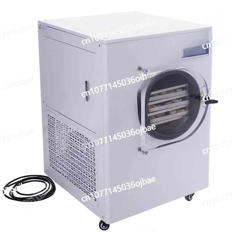 Vacuum Freeze Drying Machine Banana Freeze Drying Machine