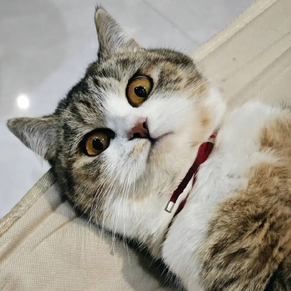 พวงกุญแจแฟชั่น Kawaii BFF