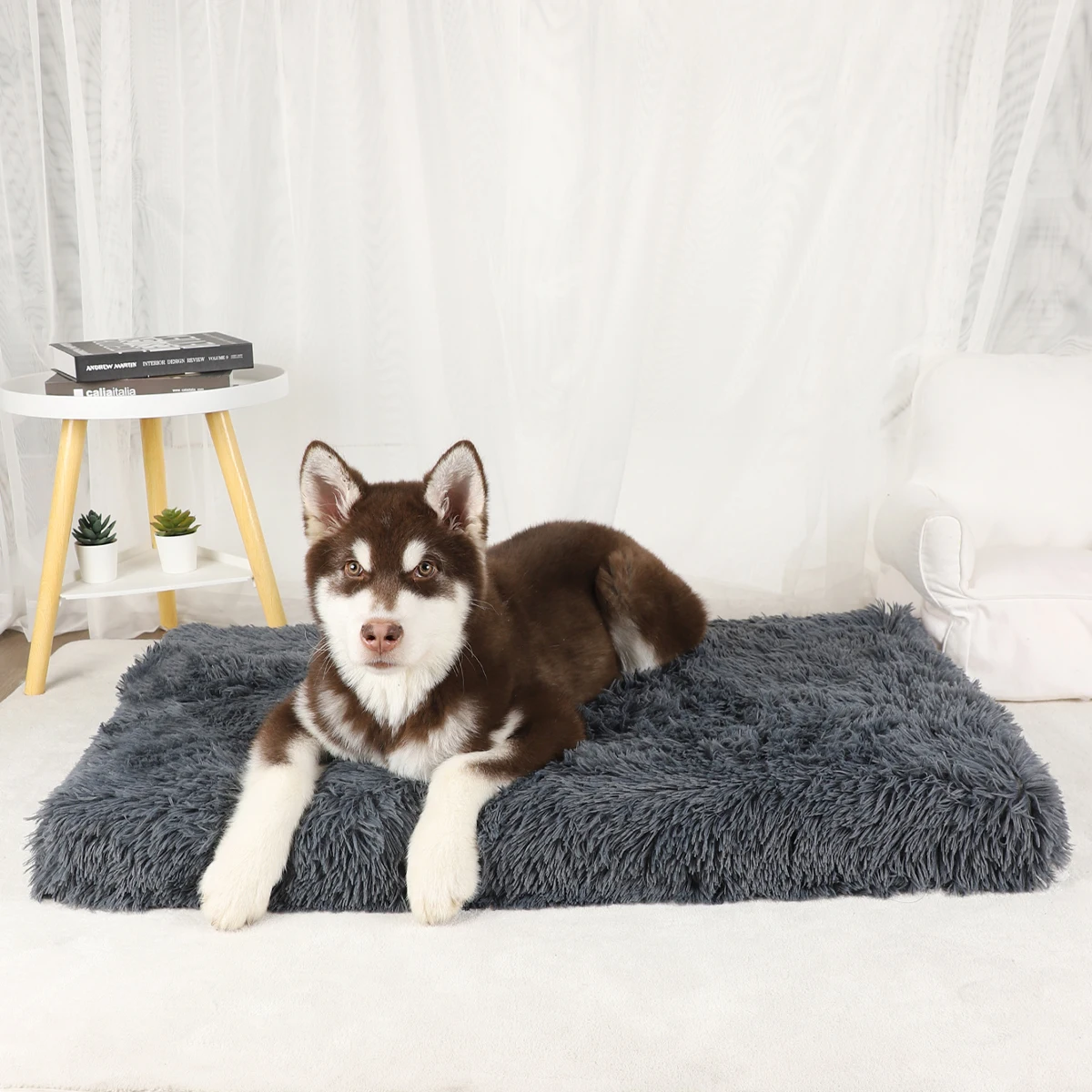 

Dog Mat Fluffy Bed Cushion Accessory Supplies Pets Dogs Accessories Basket Baskets Big Small Pet Products Large Beds Sofa Cats