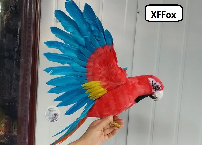 colourful real life parrot model foam&feather wings bird  gift about 45x60cm d0201