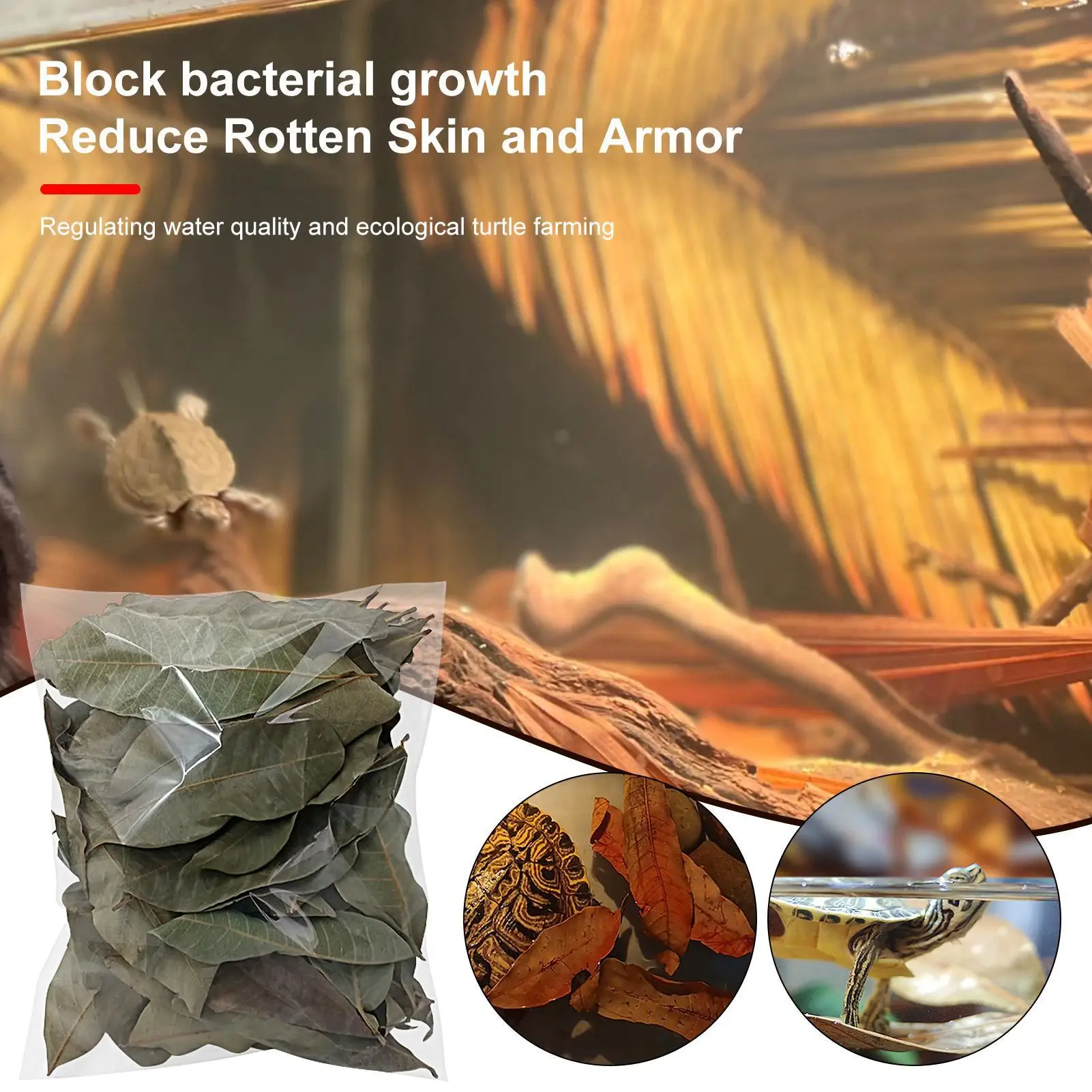 50 Pieces Reptile Leaves Natural Pet Supplies Aquarium Longan Leaf Litter For Geckos Frogs Snakes Shrimp Tortoises Lizards