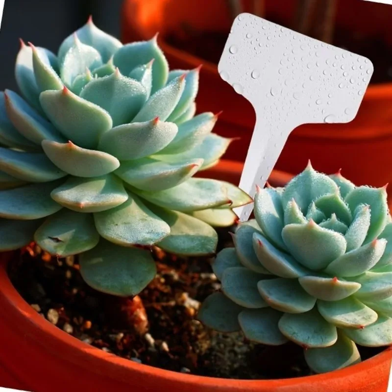 105-etiquetas-impermeaveis-para-plantas-resistentes-ao-desbotamento-ideais-para-identificacao-de-mudas-em-viveiros-e-plantas-em-vasos-internos
