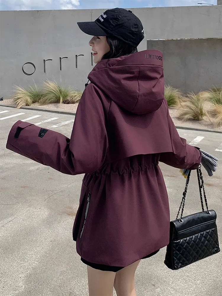 

Модная женская зимняя куртка средней длины из хлопка с капюшоном, регулируемой талией и застежкой-молнией в корейском стиле