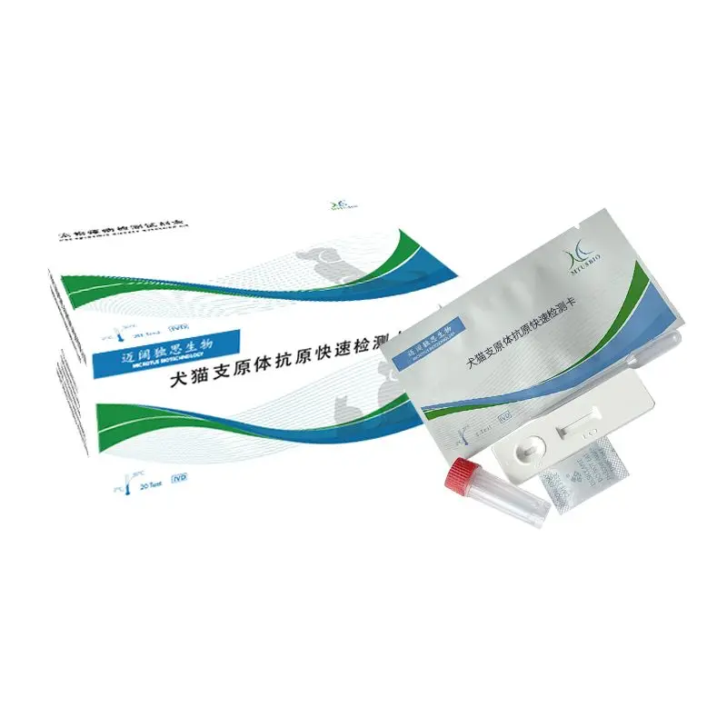 Rapid detection card for Mycoplasma antigen in dogs and cats, test strip for Mycoplasma detection in saliva of dogs and cats