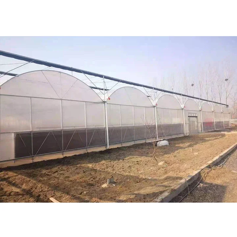 # l Low Cost Farm Singlespan G - Organic Farming In Agriculture avaliação e preço