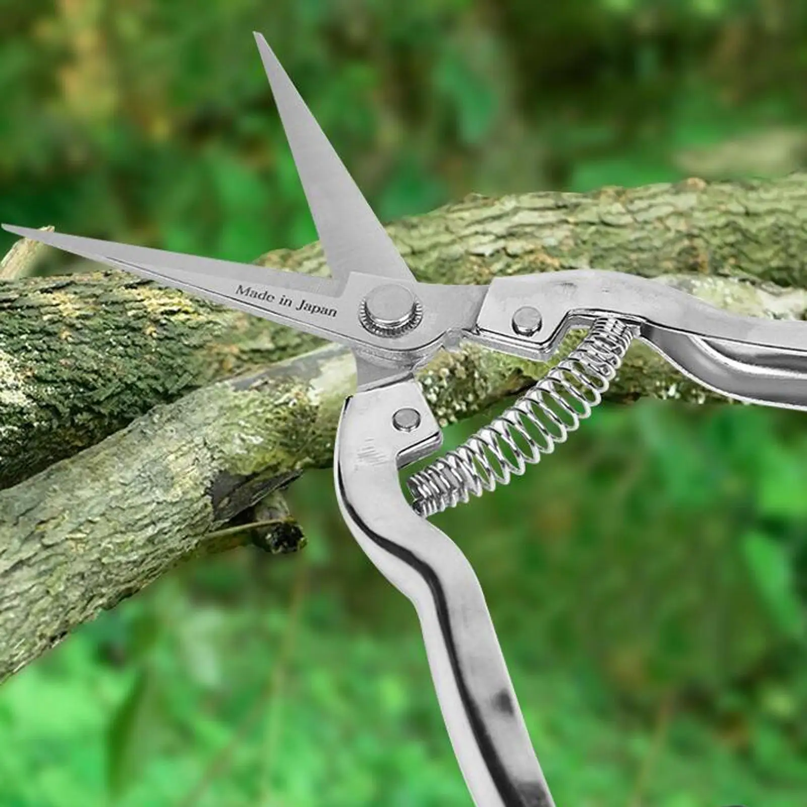 

Pruning Shear Professional Heavy Duty Plant Cutting Scissors Sharp Gardening Scissors for Garden Farm Yard Orchard Flowers