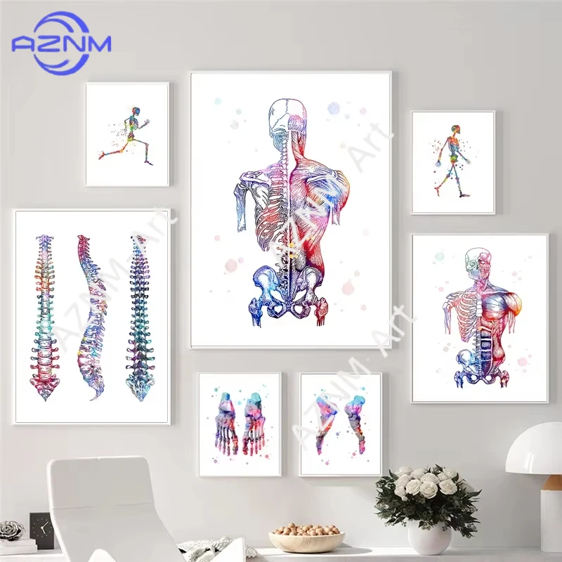 1 Stück, Wandkunst-Poster zur menschlichen Anatomie, Skelett-Knochen-Gemälde auf Leinwand, für medizinische Praxen, Kliniken, Fotos, Physiotherapie-Räume, Schlafzimmer, Zuhause