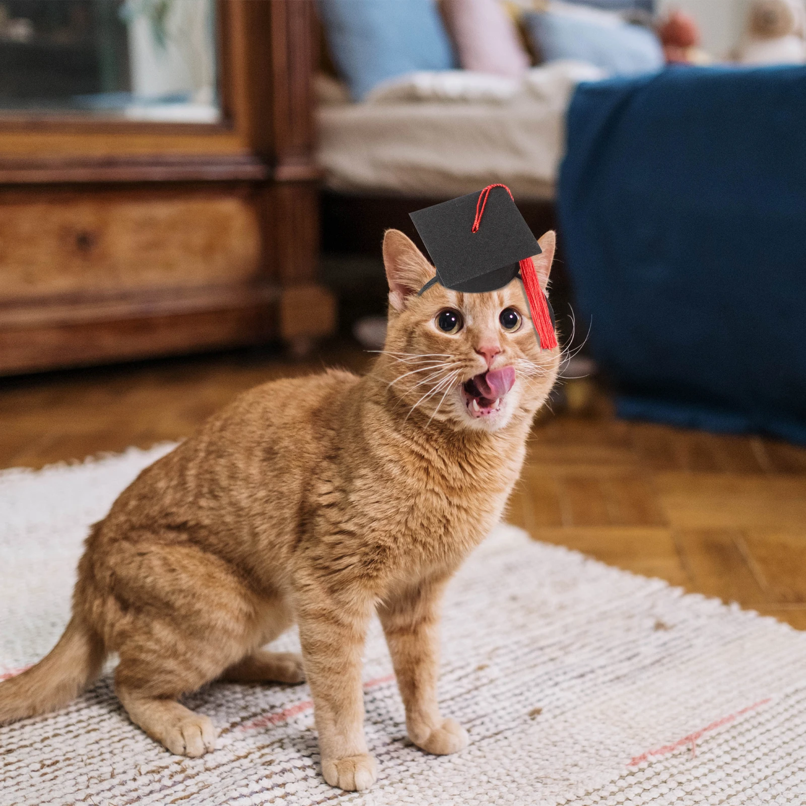 

1 set Pet Graduation Caps Set Dog Cat Hairband Tassel Bowtie Lightweight Photo Prop For Graduation Party Decoration Mini Hats