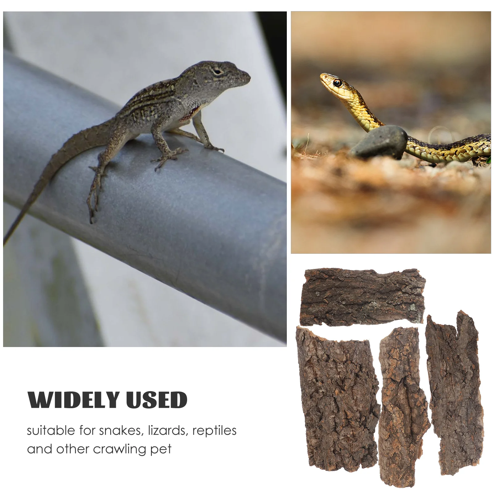 4 Pcs Climbing Platform Decoration Reptile Hide Snake Terrarium Accessories 8 14cm Bark reptile decor pet supplies TORTOISE