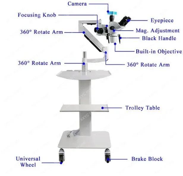 Oral Microscope/Dental Microscope/Dental Root Canal Microscope Hot Sale Portable LED Dental Surgical Operating Endodontic